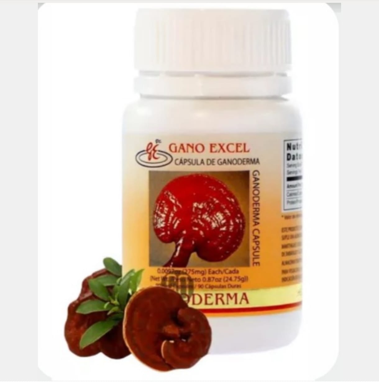 CAPSULAS GANODERMA LUCIDUM  x90